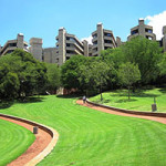 University of Johannesburg