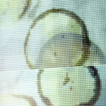 Image of Besides the Screen