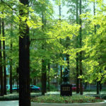 Image of East China University of Science and Technology (ECUST)