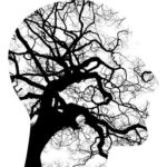 Image of Connecting Minds