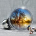 Image of International Project Management: Role of Environmental Factors and Cross Cultural considerations